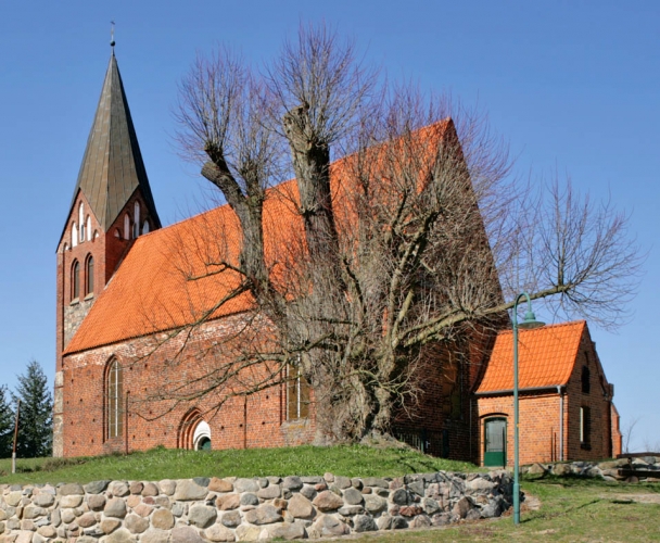 Die Dobbiner Kirche mit einer uralten Linde.