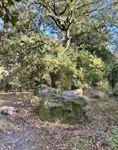 Das jungsteinzeitliche Großsteingrab im Wald nahe Pennewitt. 
