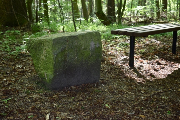 Ein Pungenstein nahe Grevesmühlen