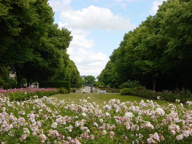 Der Rosengarten in Rostocks Innenstadt.