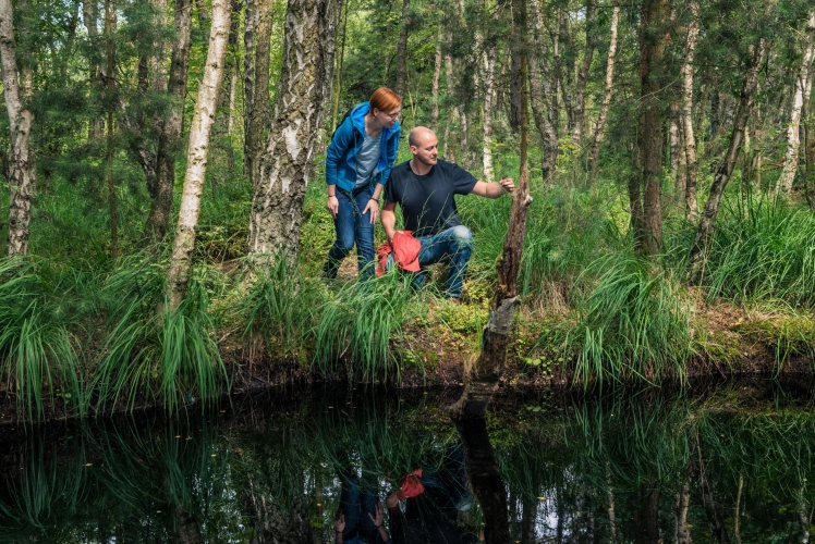 Das Ribnitzer Große Moor ist Heimat vieler seltener Pflanzen und Tiere.