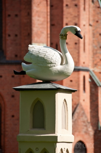 Schwanenstatue vor dem Münster