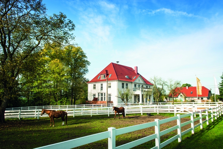 Zum Reitstall gehören 40 Hektar Land