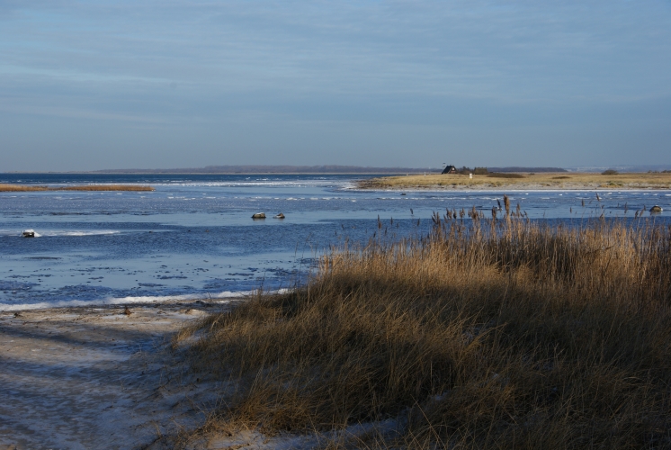 Strand bei Gollwitz im Winter