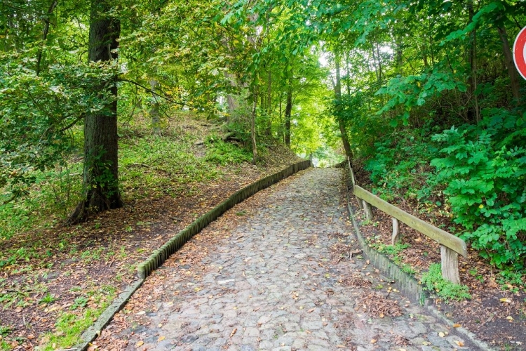 Erhaltener Ringwall der uralten Obodriten-Burg.
