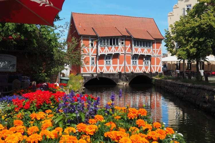 Ansicht im Sommer