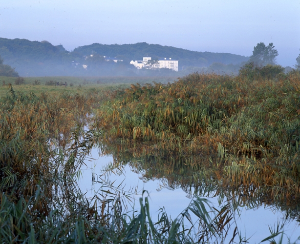 Herbstliche Landschaft bei Heiligendamm