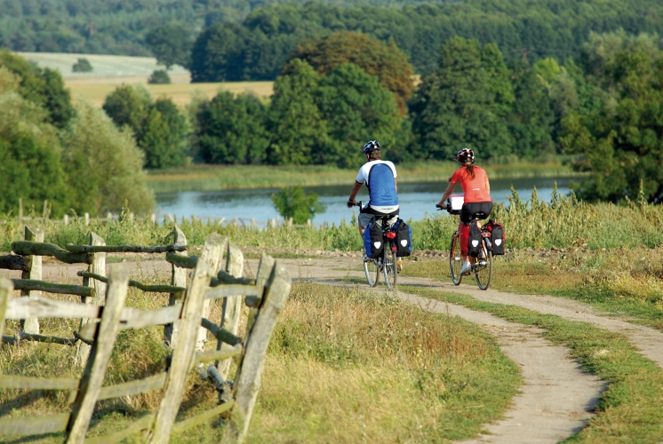 Der Naturpark Schwinzer / Nossentiner Heide ist ein Paradies für Naturfreunde.